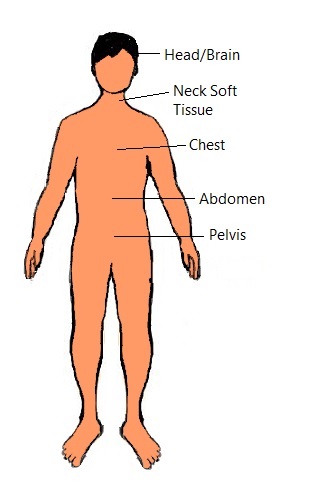 Whole Body Diagnostic